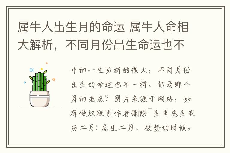 属牛人出生月的命运 属牛人命相大解析,不同月份出生命运也不同,你是几月的老虎?