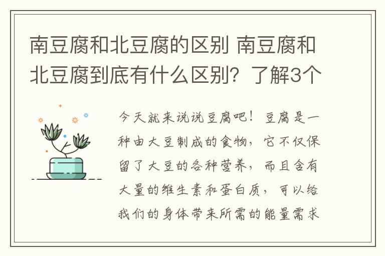 南豆腐和北豆腐的区别 南豆腐和北豆腐到底有什么区别？了解3个小技巧，用对菜谱做对菜
