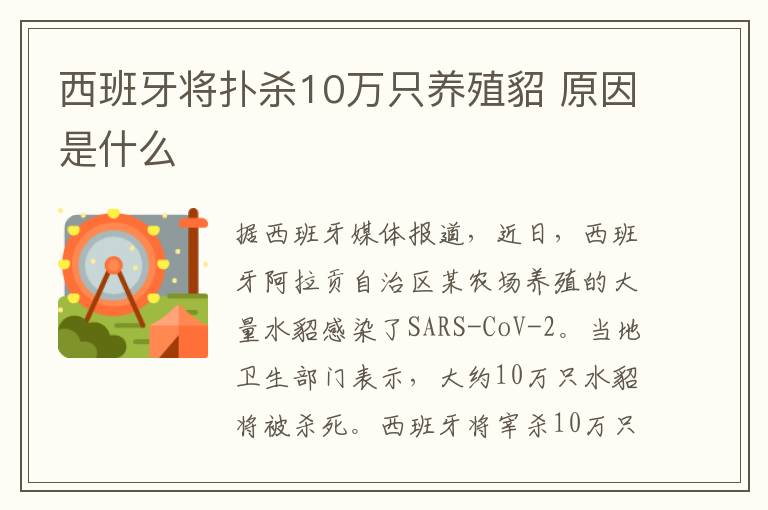 西班牙将扑杀10万只养殖貂 原因是什么