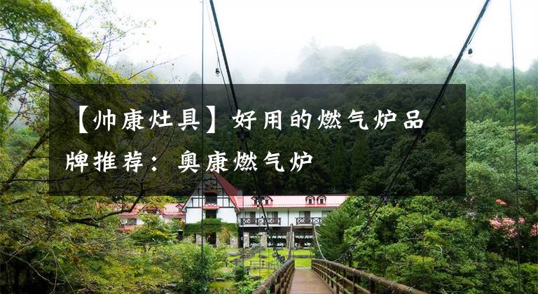 【帅康灶具】好用的燃气炉品牌推荐:奥康燃气炉