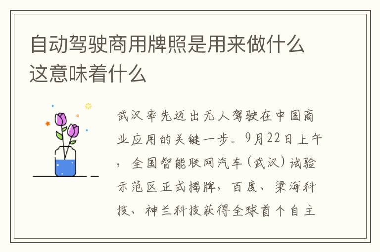 自动驾驶商用牌照是用来做什么这意味着什么