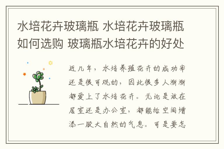 水培花卉玻璃瓶 水培花卉玻璃瓶如何选购 玻璃瓶水培花卉的好处