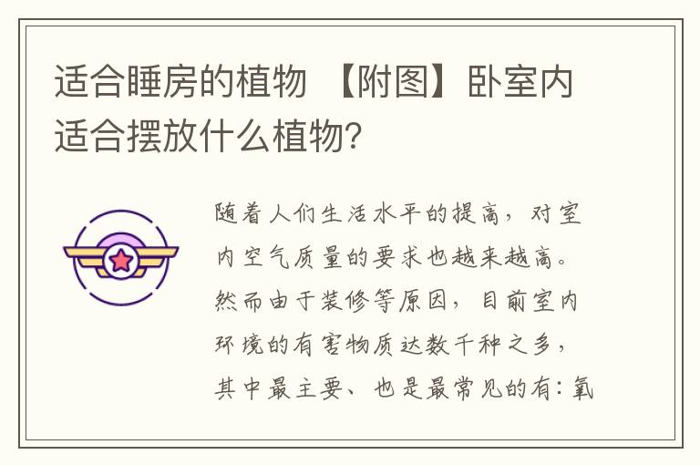 适合睡房的植物 【附图】卧室内适合摆放什么植物?