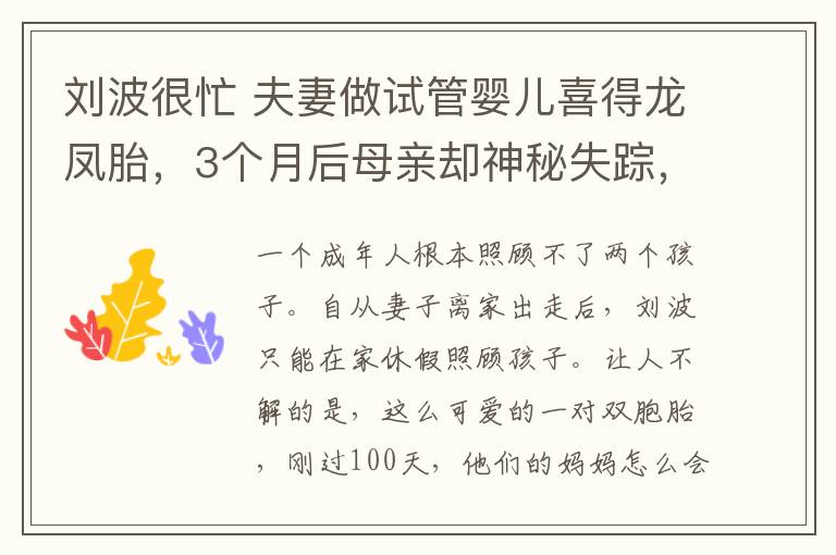 刘波很忙 夫妻做试管婴儿喜得龙凤胎,3个月后母亲却神秘失踪,得知真相后老公想跳楼
