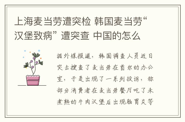 上海麦当劳遭突检 韩国麦当劳“汉堡致病” 遭突查 中国的怎么样了？