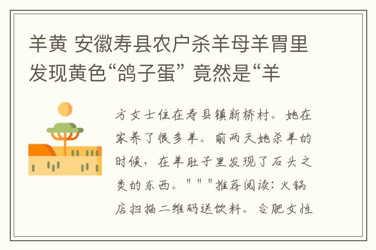 羊黄 安徽寿县农户杀羊母羊胃里发现黄色“鸽子蛋” 竟然是“羊宝”
