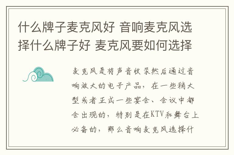 什么牌子麦克风好 音响麦克风选择什么牌子好 麦克风要如何选择