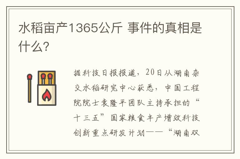水稻亩产1365公斤 事件的真相是什么?