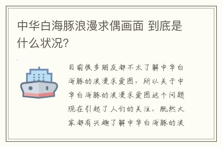 中华白海豚浪漫求偶画面 到底是什么状况?