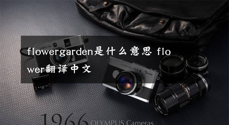 flowergarden是什么意思 flower翻译中文