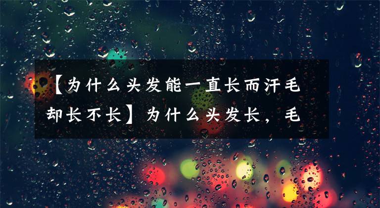 【为什么头发能一直长而汗毛却长不长】为什么头发长，毛长，蚂蚁农场却不能成为7月22日的正确答案？