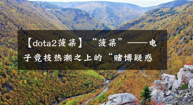 【dota2菠菜】“菠菜”——电子竞技热潮之上的“赌博疑惑”