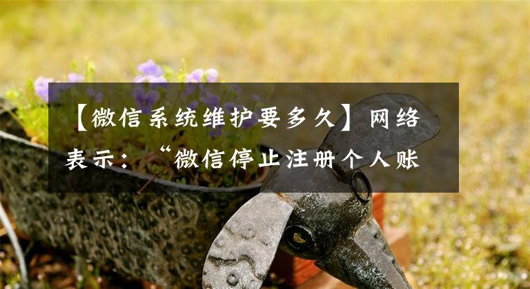 【微信系统维护要多久】网络表示:“微信停止注册个人账户新用户。”腾讯客服:技术升级正在进行,预计8月初恢复。