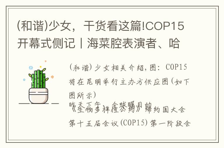 (和谐)少女,干货看这篇!COP15开幕式侧记丨海菜腔表演者、哈尼族少女和阿勒泰河狸公主…他们向世界讲述人与自然和谐相处的中国经验