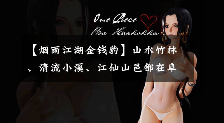 【烟雨江湖金钱豹】山水竹林、清流小溪、江仙山邑都在阜阳周围进行。