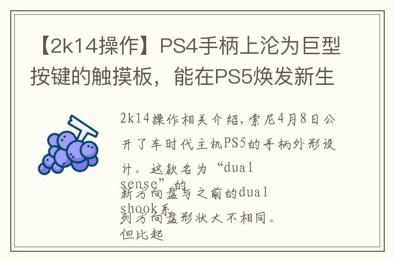 【2k14操作】PS4手柄上沦为巨型按键的触摸板,能在PS5焕发新生吗?
