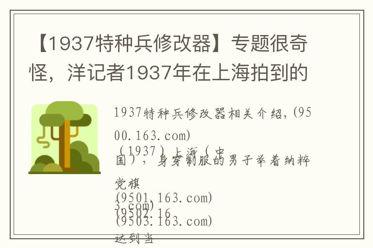 【1937特种兵修改器】专题很奇怪,洋记者1937年在上海拍到的这是啥特种兵?