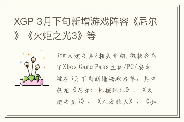 XGP 3月下旬新增游戏阵容《尼尔》《火炬之光3》等