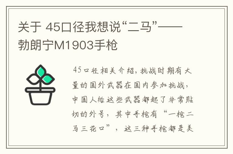 关于 45口径我想说“二马”——勃朗宁M1903手枪