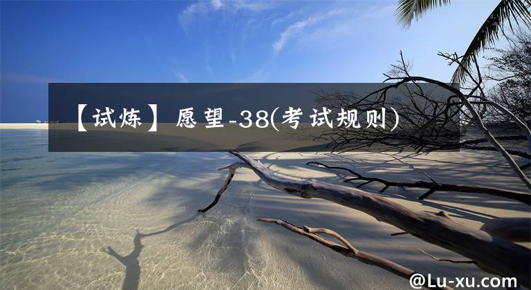 【试炼】愿望-38(考试规则)