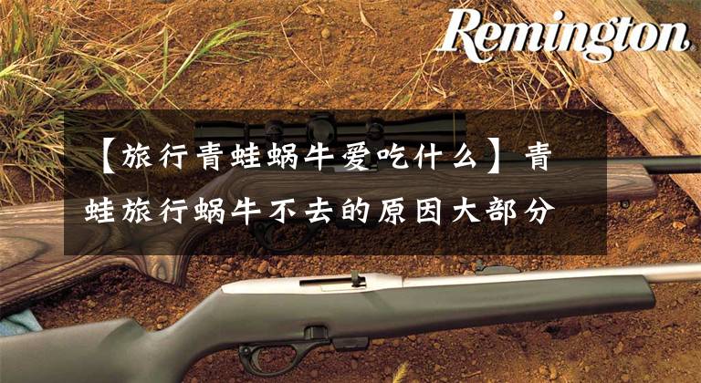 【旅行青蛙蜗牛爱吃什么】青蛙旅行蜗牛不去的原因大部分是因为没有吃饱