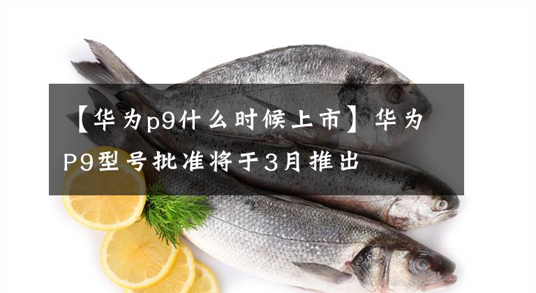 【华为p9什么时候上市】华为P9型号批准将于3月推出