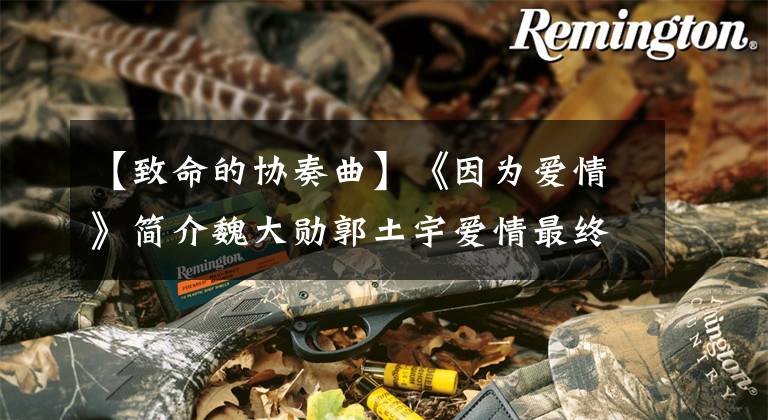 【致命的协奏曲】《因为爱情》简介魏大勋郭土宇爱情最终会在一起