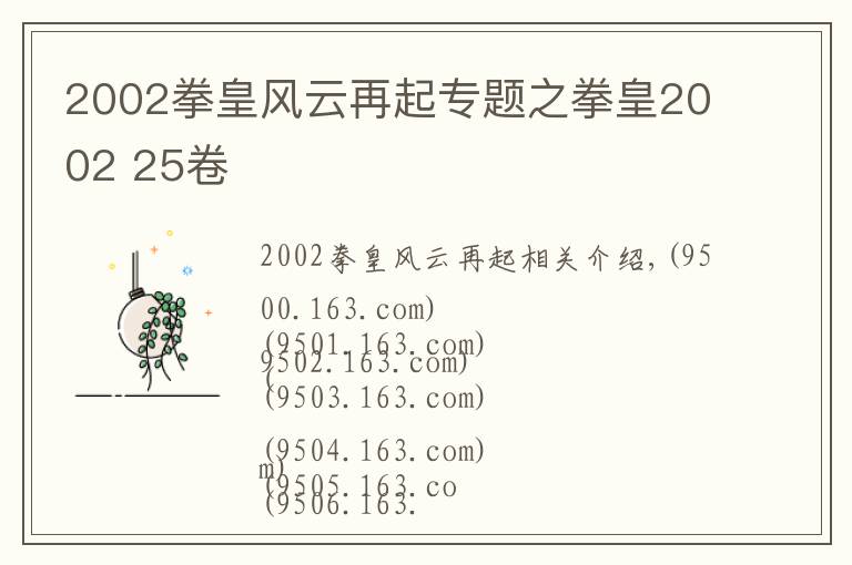 2002拳皇风云再起专题之拳皇2002 25卷