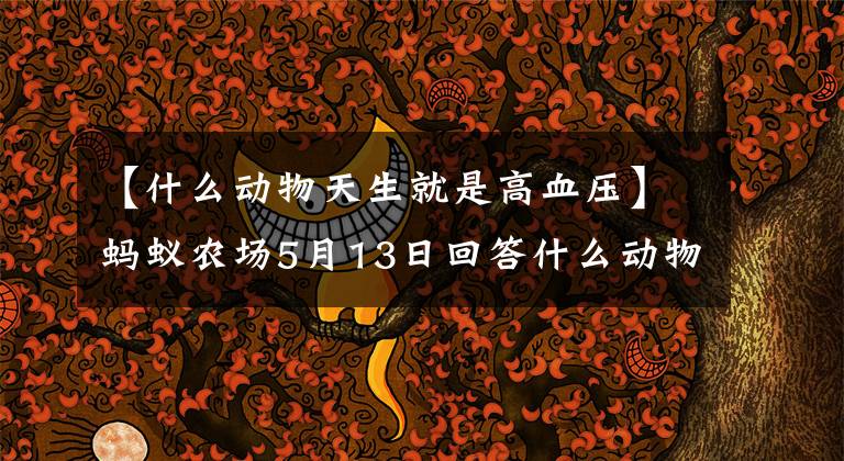 【什么动物天生就是高血压】蚂蚁农场5月13日回答什么动物天生“高血压”?小鸡宝宝测试今天回答