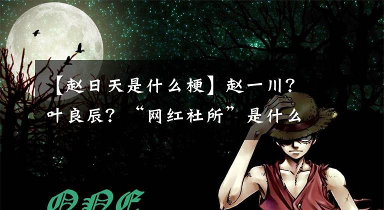 【赵日天是什么梗】赵一川?叶良辰?“网红社所”是什么梗?