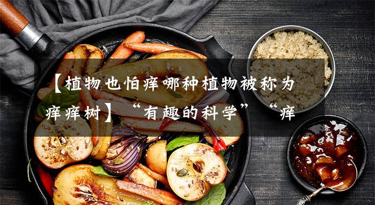 【植物也怕痒哪种植物被称为痒痒树】“有趣的科学”“痒树”紫薇真的怕痒吗?