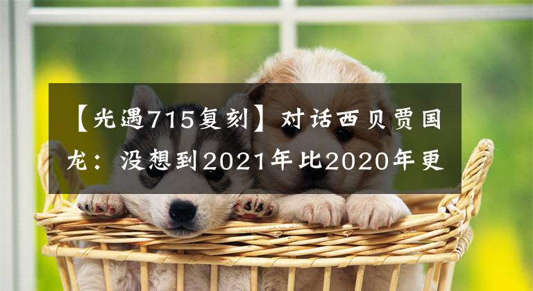 【光遇715复刻】对话西贝贾国龙:没想到2021年比2020年更艰难。他还谈了涨价,上市和海底捞
