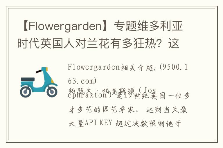 【Flowergarden】专题维多利亚时代英国人对兰花有多狂热?这位画家的手绘图留存了那份迷恋