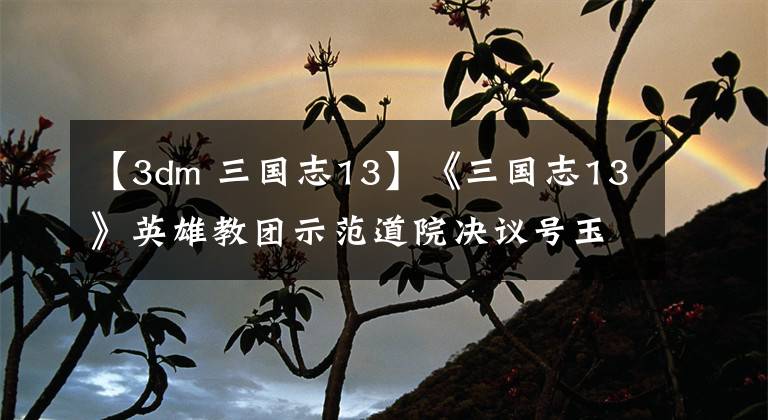 【3dm 三国志13】《三国志13》英雄教团示范道院决议号玉馆大展