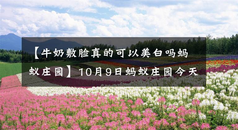 【牛奶敷脸真的可以美白吗蚂蚁庄园】10月9日蚂蚁庄园今天正确答案牛奶敷脸真的可以美白吗?