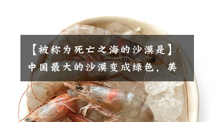 【被称为死亡之海的沙漠是】中国最大的沙漠变成绿色,美国NASA卫星立即关注!专家:植树造林立大功