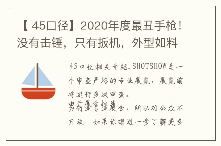 【 45口径】2020年度最丑手枪!没有击锤,只有扳机,外型如料理喷枪