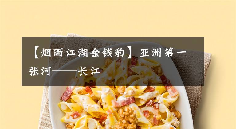 【烟雨江湖金钱豹】亚洲第一张河——长江