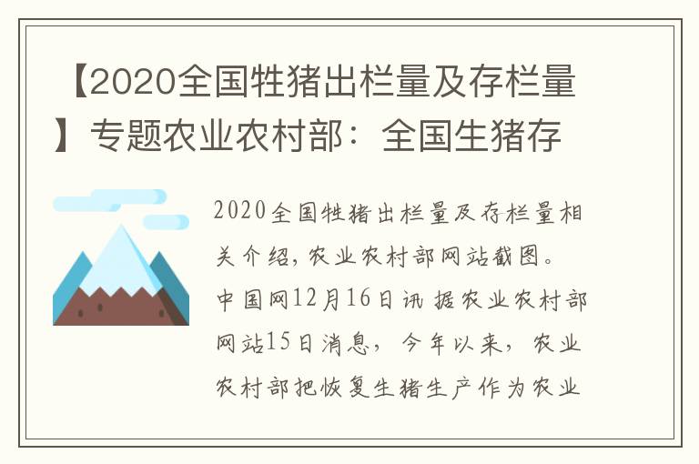 【2020全国牲猪出栏量及存栏量】专题农业农村部:全国生猪存栏已恢复到正常年份水平90%以上