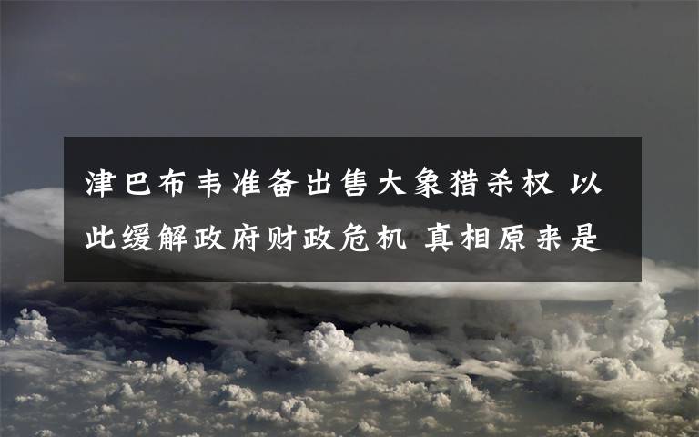 津巴布韦准备出售大象猎杀权 以此缓解政府财政危机 真相原来是这样!