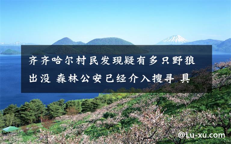 齐齐哈尔村民发现疑有多只野狼出没 森林公安已经介入搜寻 具体是啥情况?