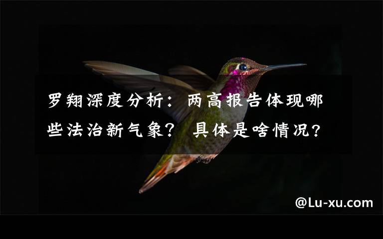 罗翔深度分析:两高报告体现哪些法治新气象? 具体是啥情况?