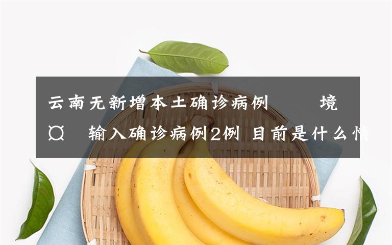 云南无新增本土确诊病例   境外输入确诊病例2例 目前是什么情况?