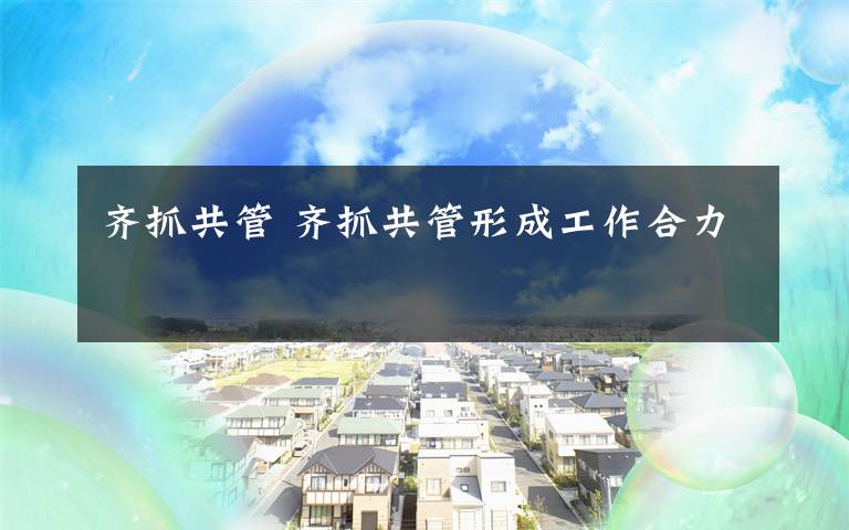 齐抓共管 齐抓共管形成工作合力