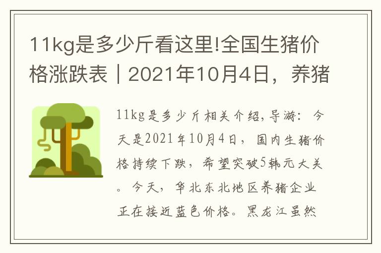 11kg是多少斤看这里!全国生猪价格涨跌表|2021年10月4日,养猪户已经“无力回天”