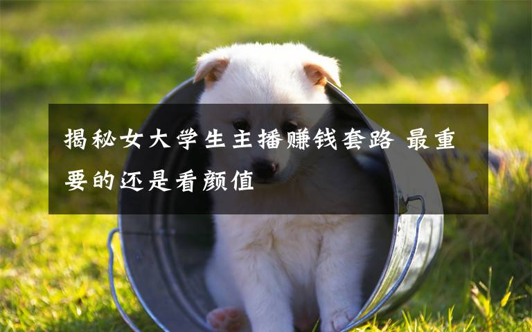 揭秘女大学生主播赚钱套路 最重要的还是看颜值