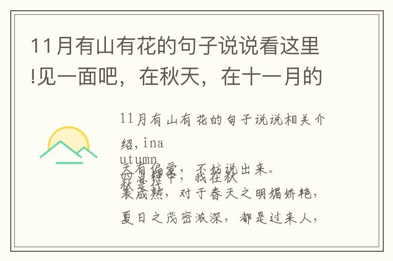 11月有山有花的句子说说看这里!见一面吧,在秋天,在十一月的栖霞山。