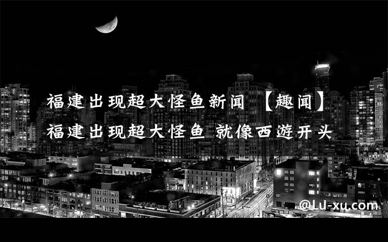 福建出现超大怪鱼新闻 【趣闻】福建出现超大怪鱼 就像西游开头里的鱼怪