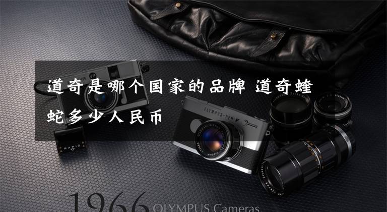 道奇是哪个国家的品牌 道奇蝰蛇多少人民币