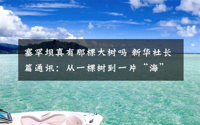 塞罕坝真有那棵大树吗 新华社长篇通讯:从一棵树到一片“海”——塞罕坝生态文明建设范例启示录